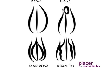 Diapositiva1-1
