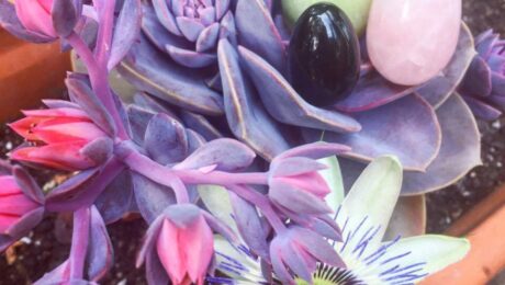 huevos vaginales de jade cuarzo rosa y obsidiana