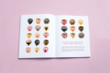 thevulvagallerybook